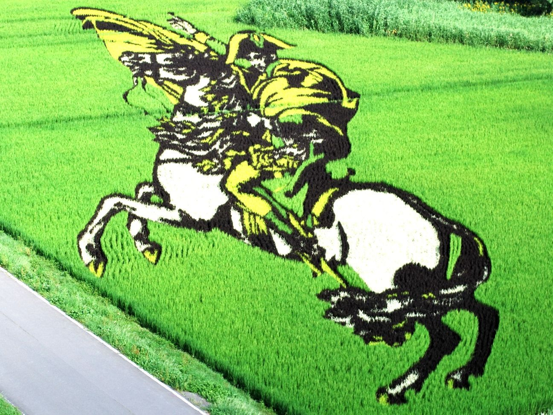 Illustration for article titled Another year of magnificent illustrations made with blossoming rice